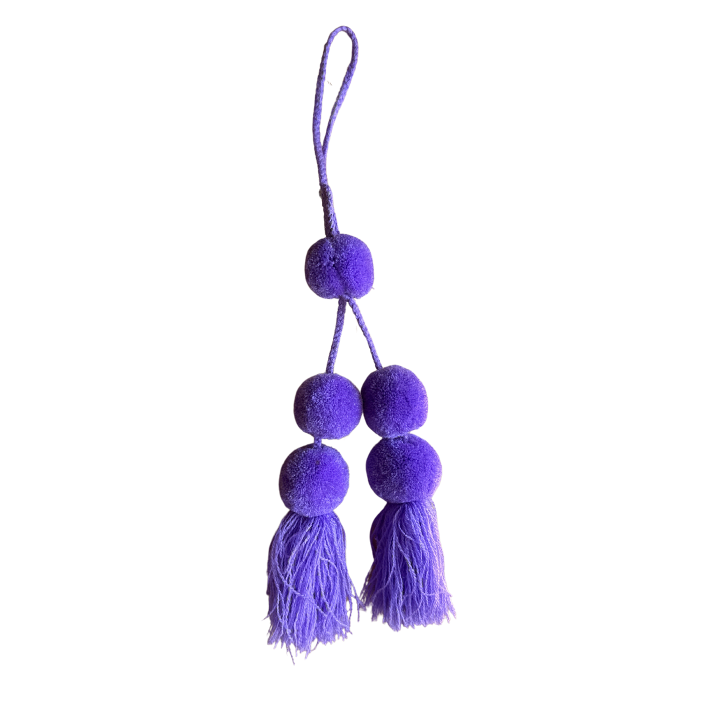 Tote Tassels